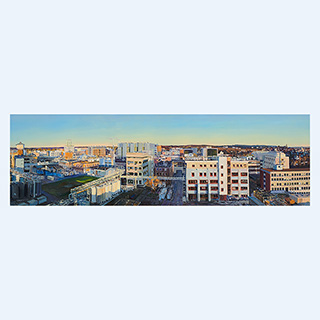 View of the Darmstadt Site | Merck | 2010 | 24 x 71 inch | oil/canvas