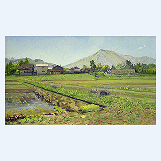 Reisfelder am Aso | Japan | 17.05.1995 | 30 x 50 cm | Öl/Malkarton
